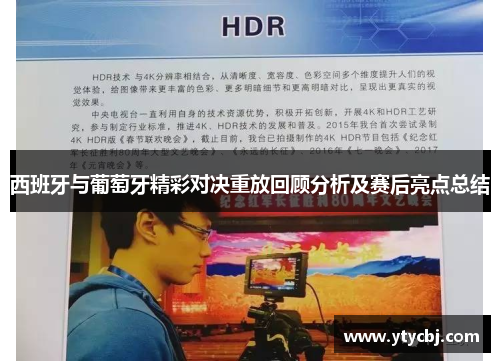 西班牙与葡萄牙精彩对决重放回顾分析及赛后亮点总结